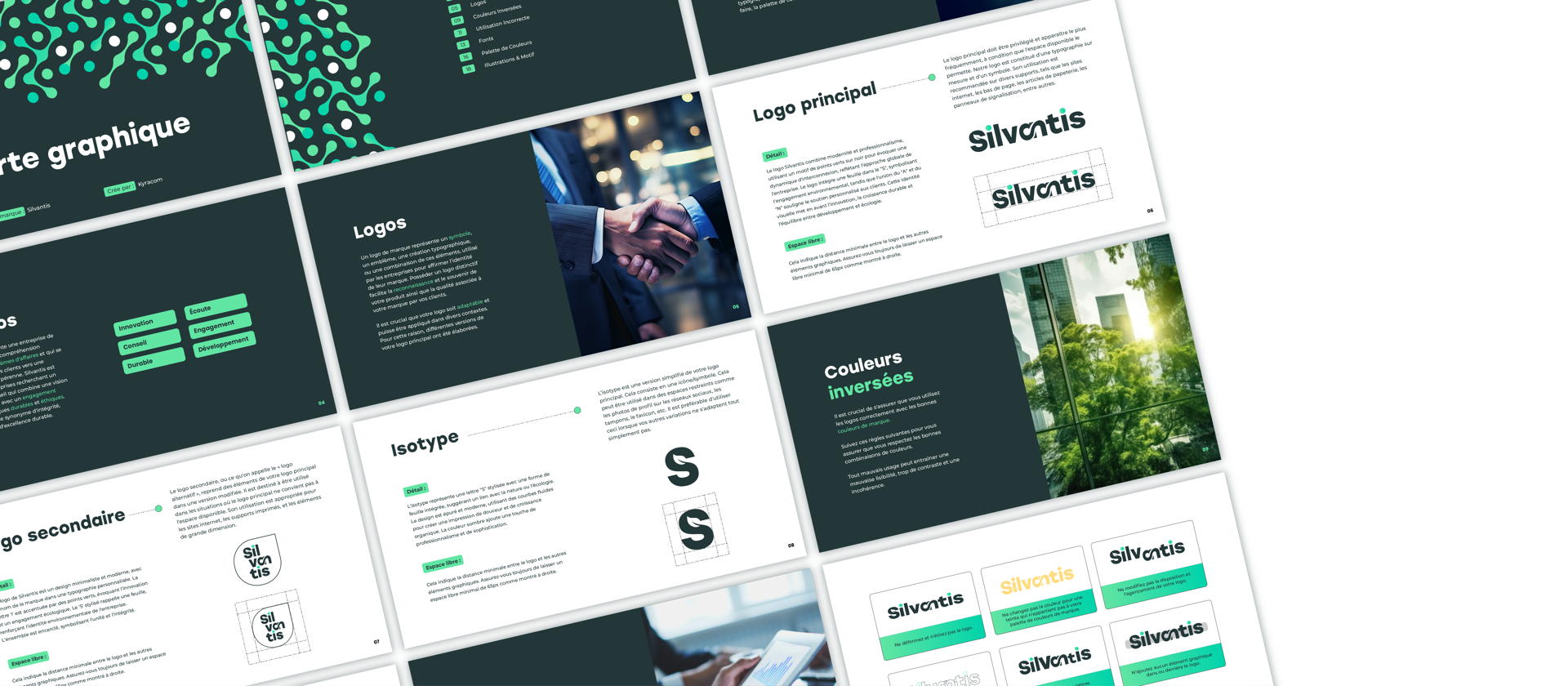 Charte graphique Silvantis agence de conseils aux entreprises à Dijon