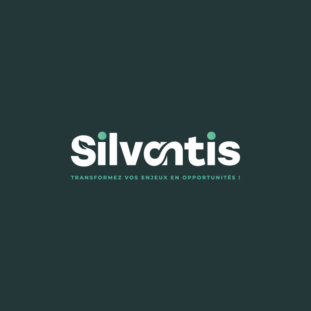 Logo avec baseline Silvantis agence de conseils aux entreprises à Dijon