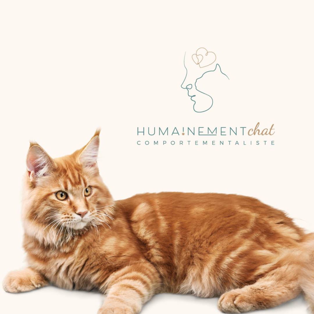 Logo Humainement Chat Comportementaliste félin