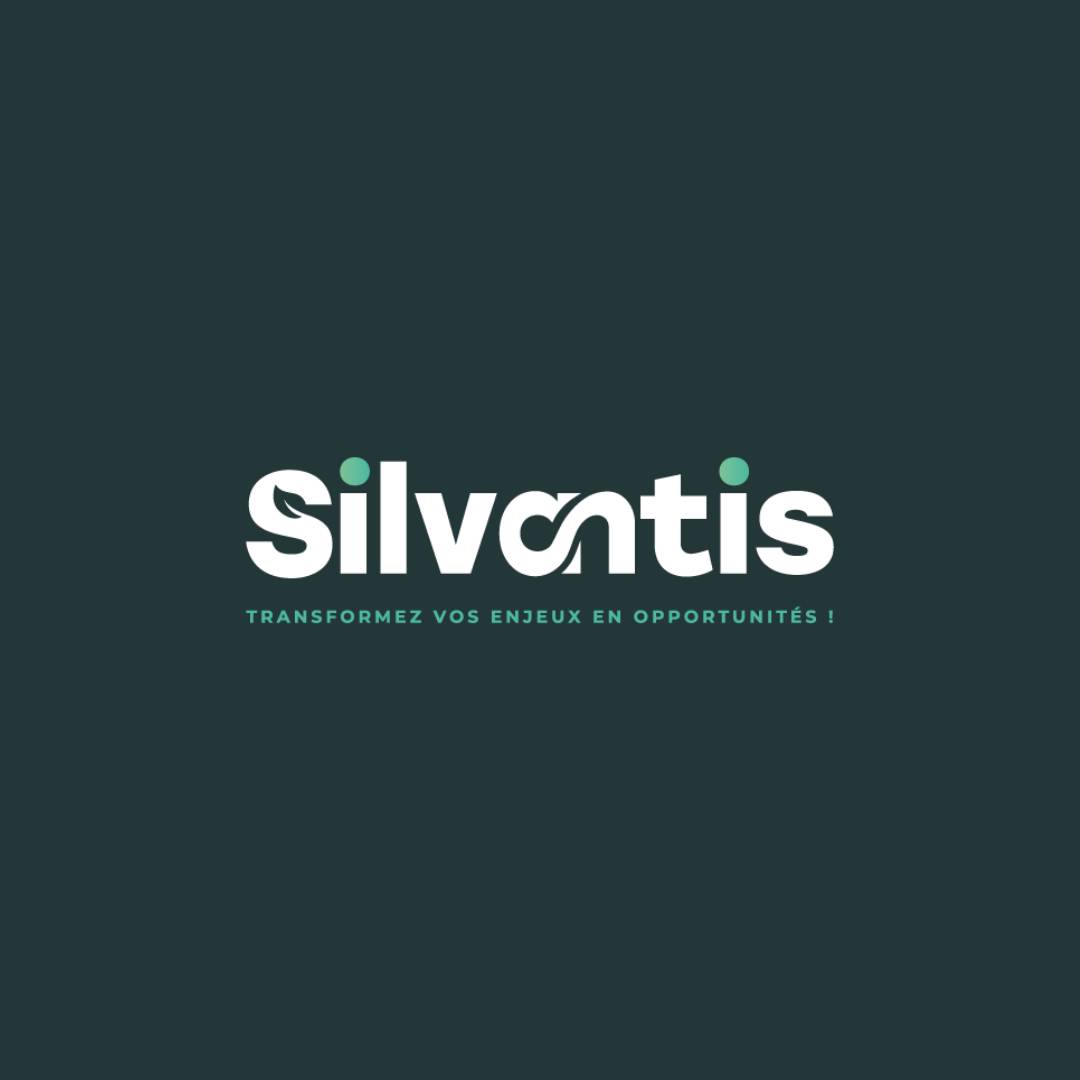 Silvantis conseil aux entreprises