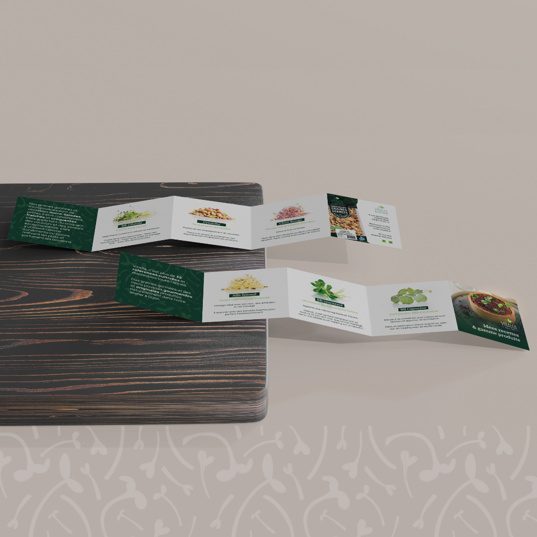 Mockup dépliants 5 volets réalisée par agence de communication Kyracom pour Vitalfa Dijon