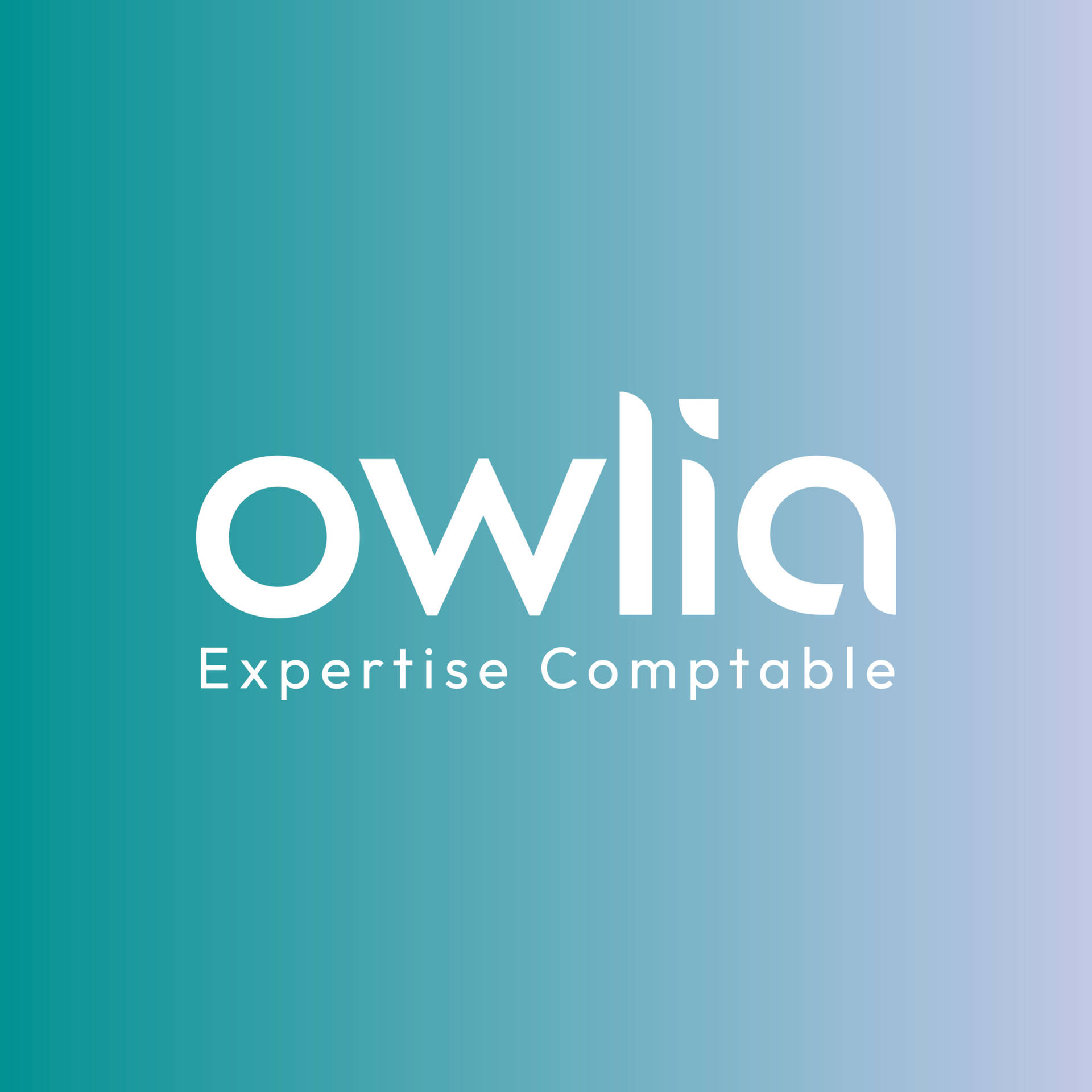 logo, expert-comptable, chouette, tuiles, aile, dijon, owlia