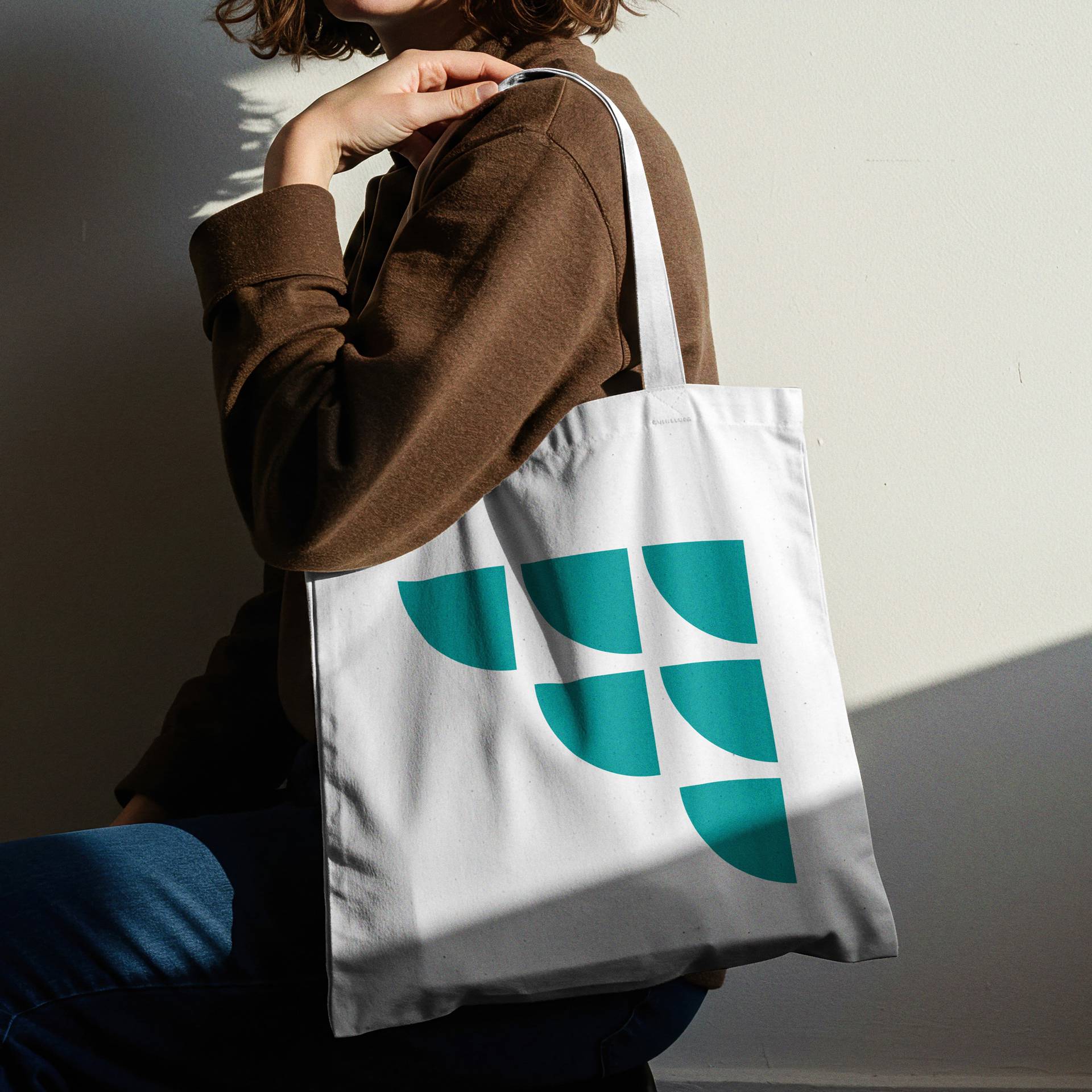 logo, sac, expert-comptable, bleu canard