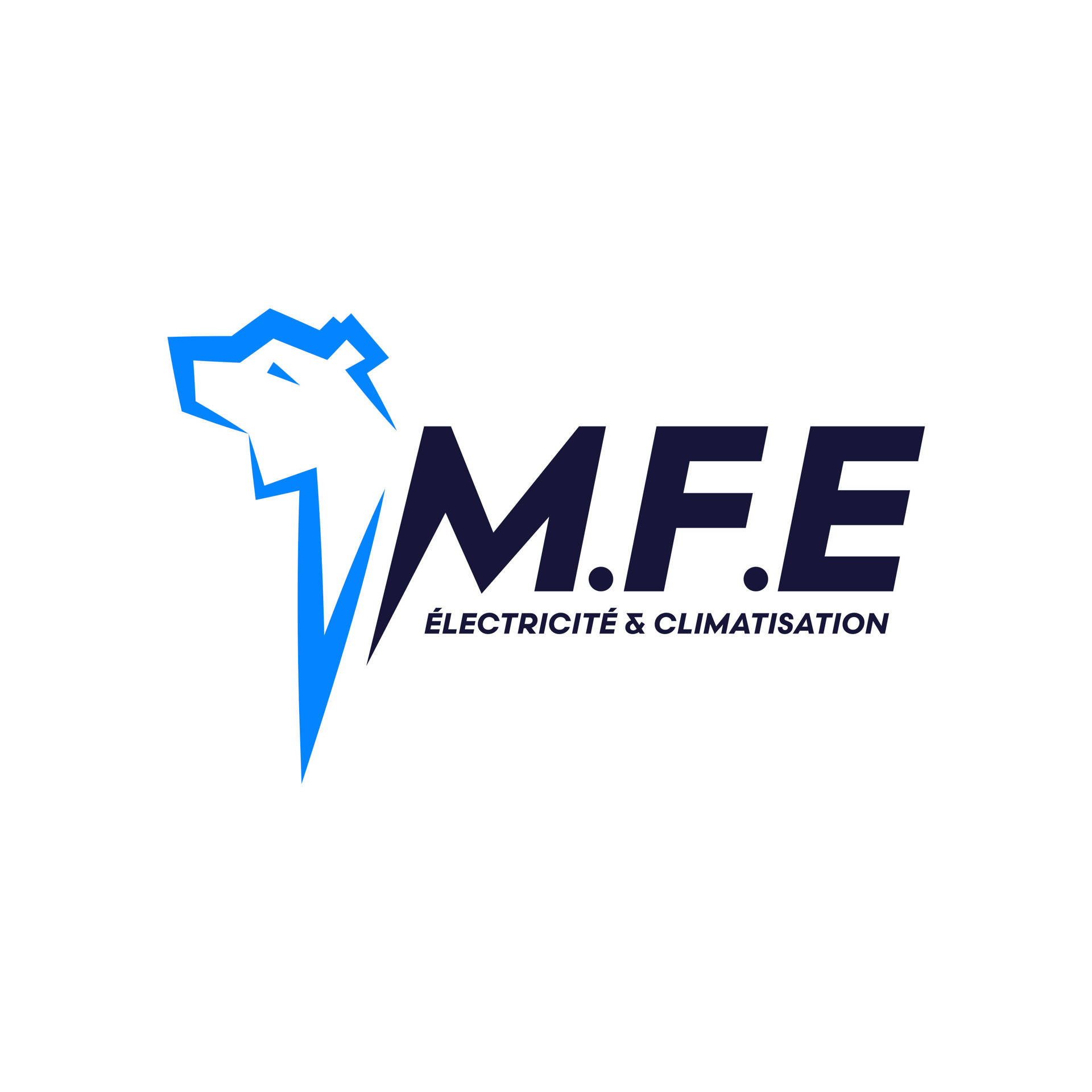 électricien, climatisation, logo, blanc, dijon, éclair, ours, bleu